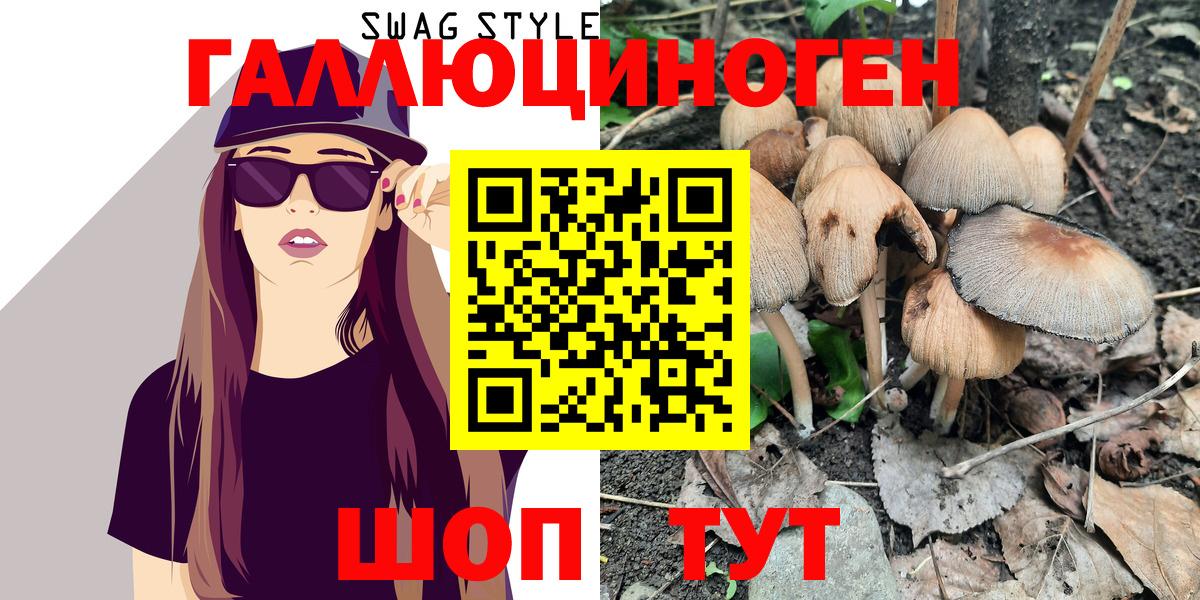 Галлюциногенные грибы GOLDEN TEACHER  Галлюциногенные грибы Magic Shrooms  Губкин  купить наркоту  Вход с VPN 