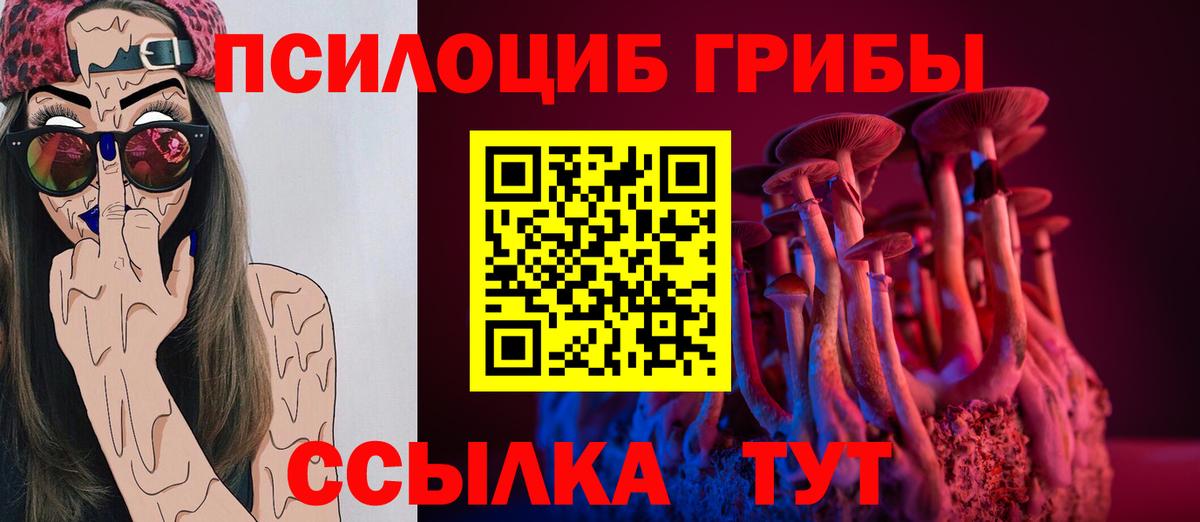 Псилоцибиновые грибы Psilocybine cubensis Губкин
